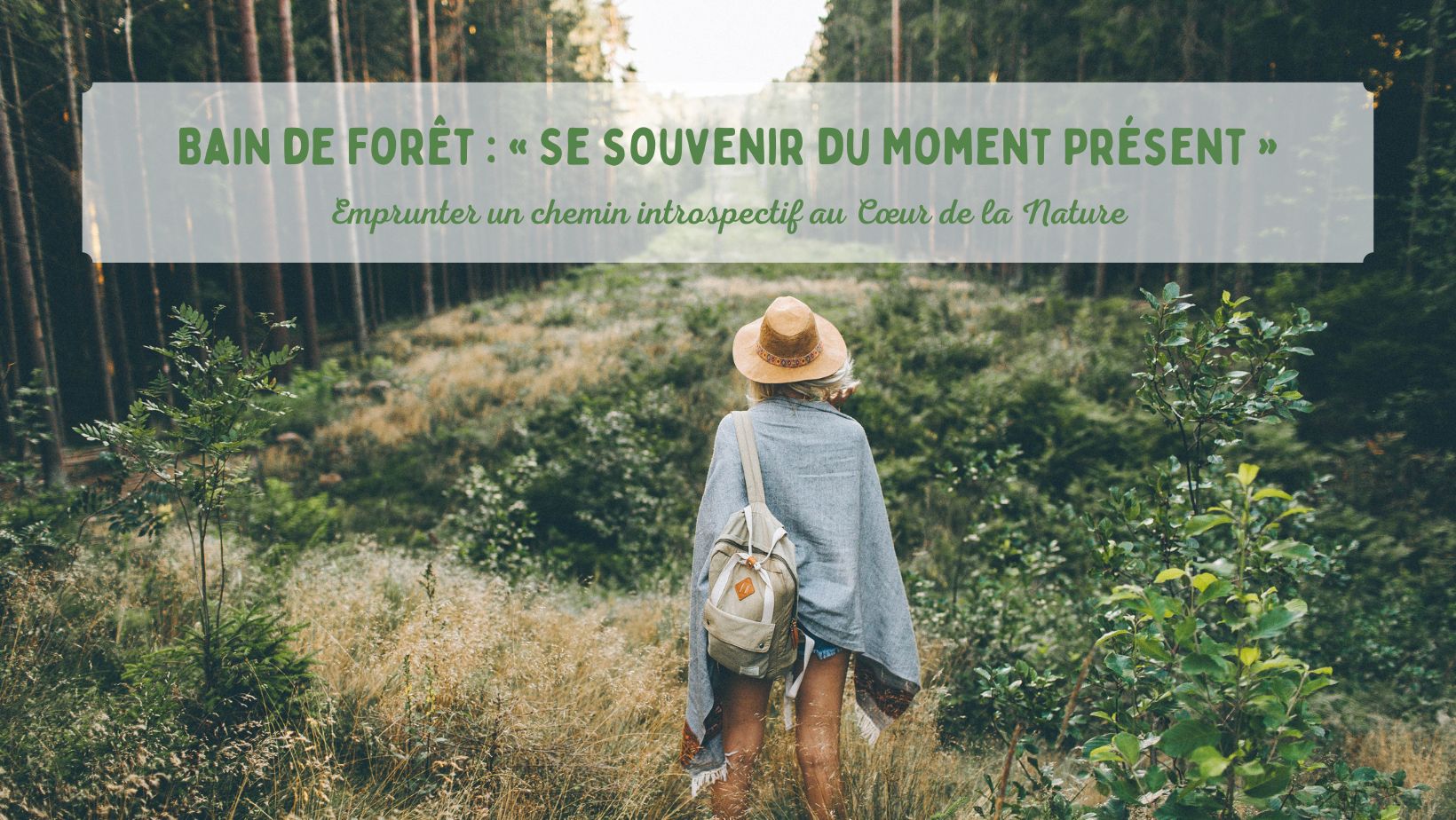 Bain de Forêt: Se souvenir du Moment Présent